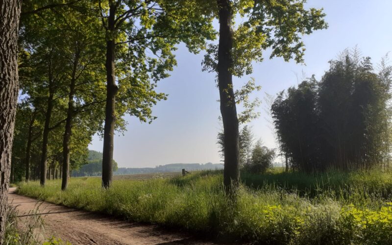 Vernhoutroute