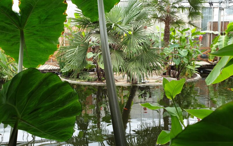 Tropische tuin Gasthuishoeve